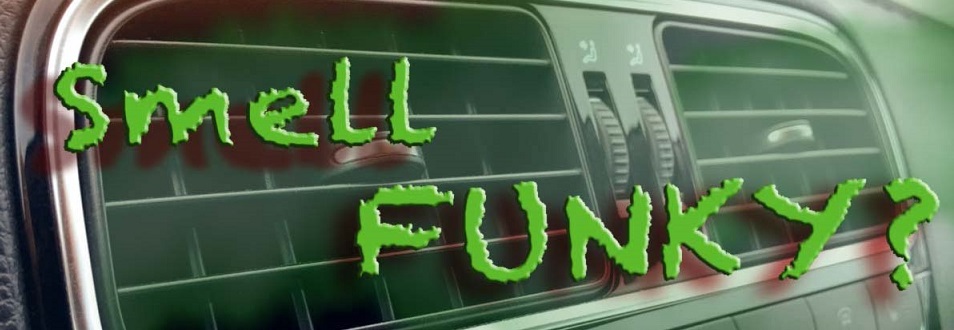 Vehicle Odor Removal